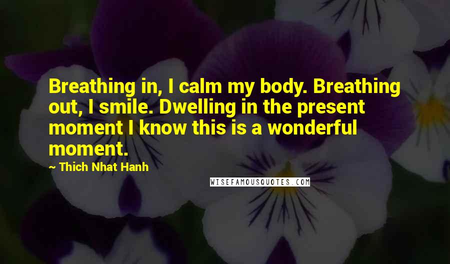 Thich Nhat Hanh Quotes: Breathing in, I calm my body. Breathing out, I smile. Dwelling in the present moment I know this is a wonderful moment.