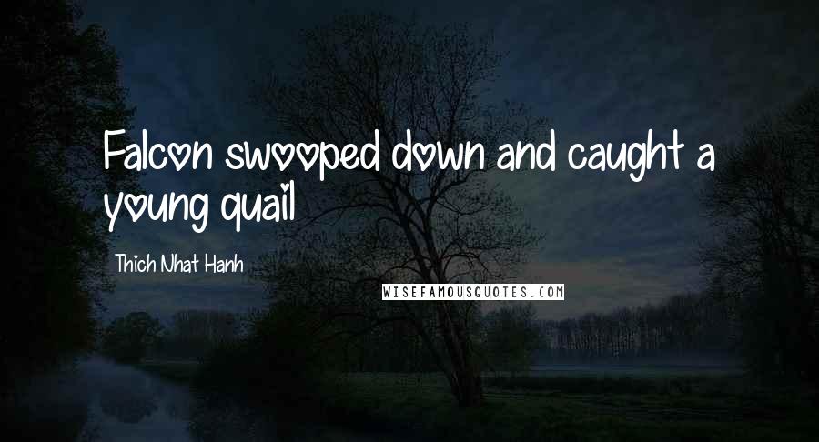 Thich Nhat Hanh Quotes: Falcon swooped down and caught a young quail