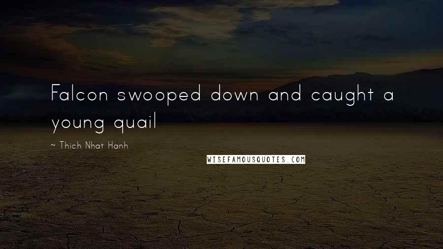 Thich Nhat Hanh Quotes: Falcon swooped down and caught a young quail