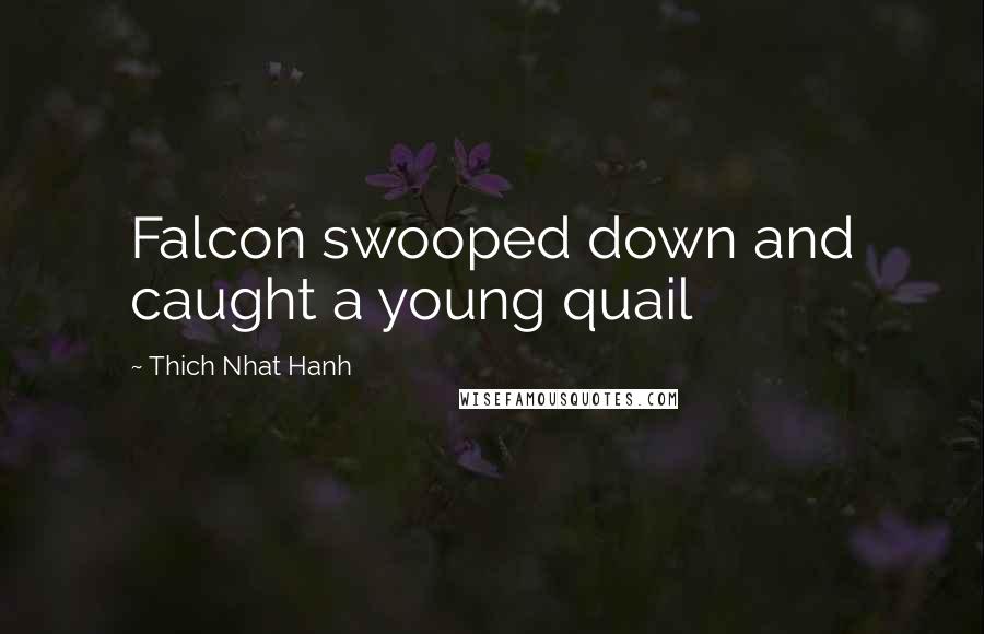 Thich Nhat Hanh Quotes: Falcon swooped down and caught a young quail