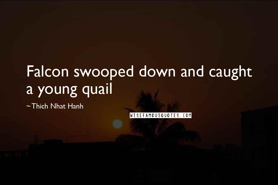 Thich Nhat Hanh Quotes: Falcon swooped down and caught a young quail