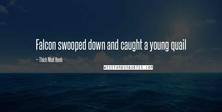 Thich Nhat Hanh Quotes: Falcon swooped down and caught a young quail