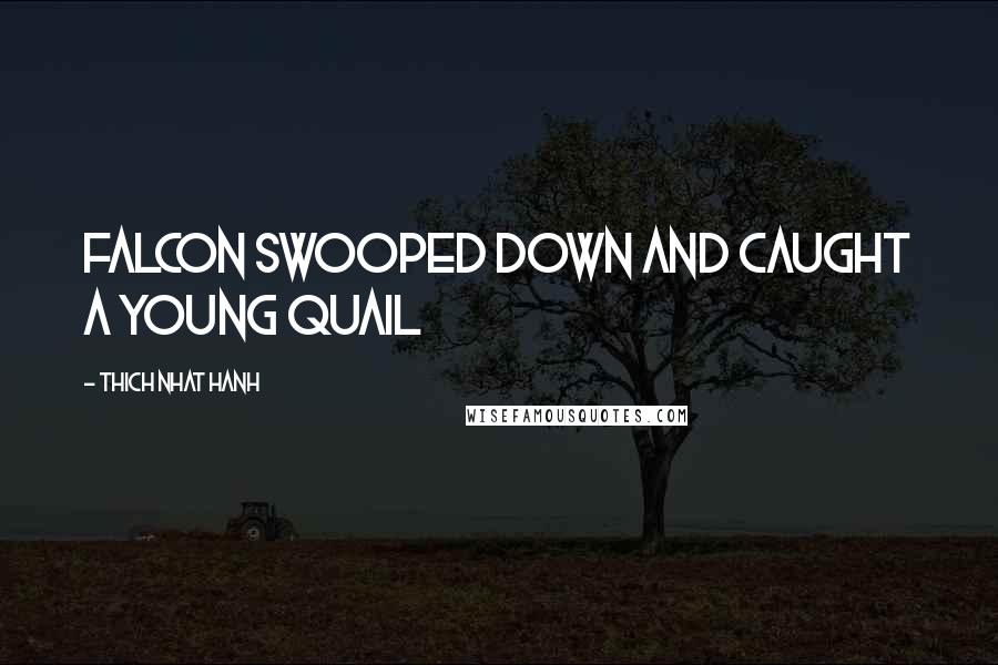 Thich Nhat Hanh Quotes: Falcon swooped down and caught a young quail