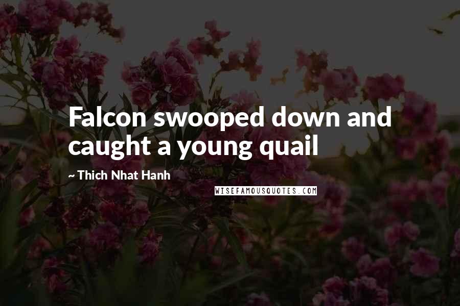 Thich Nhat Hanh Quotes: Falcon swooped down and caught a young quail