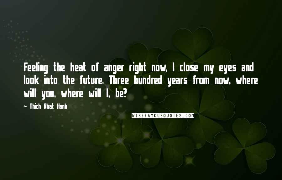 Thich Nhat Hanh Quotes: Feeling the heat of anger right now, I close my eyes and look into the future. Three hundred years from now, where will you, where will I, be?