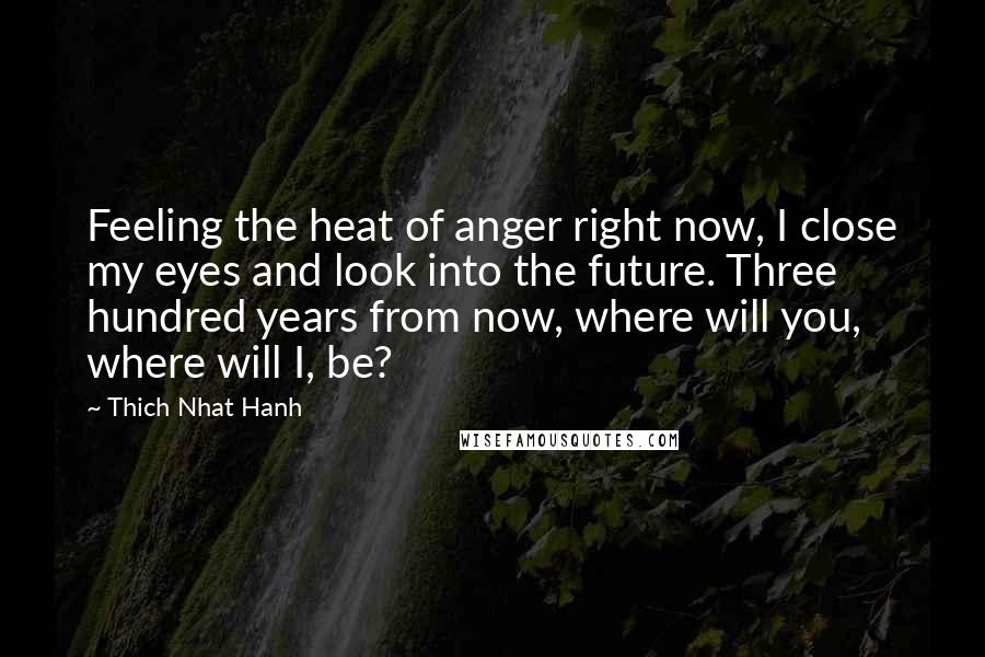 Thich Nhat Hanh Quotes: Feeling the heat of anger right now, I close my eyes and look into the future. Three hundred years from now, where will you, where will I, be?