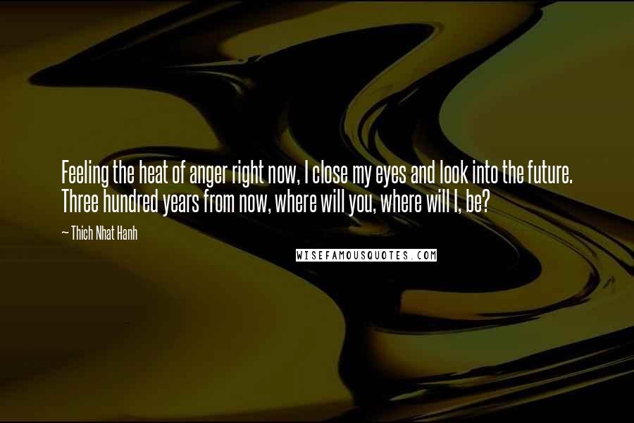 Thich Nhat Hanh Quotes: Feeling the heat of anger right now, I close my eyes and look into the future. Three hundred years from now, where will you, where will I, be?