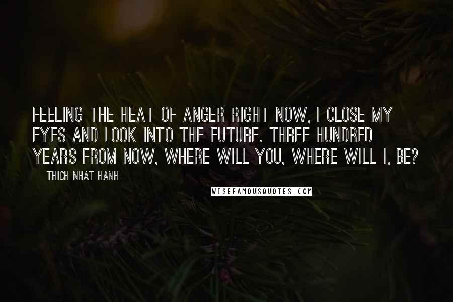 Thich Nhat Hanh Quotes: Feeling the heat of anger right now, I close my eyes and look into the future. Three hundred years from now, where will you, where will I, be?