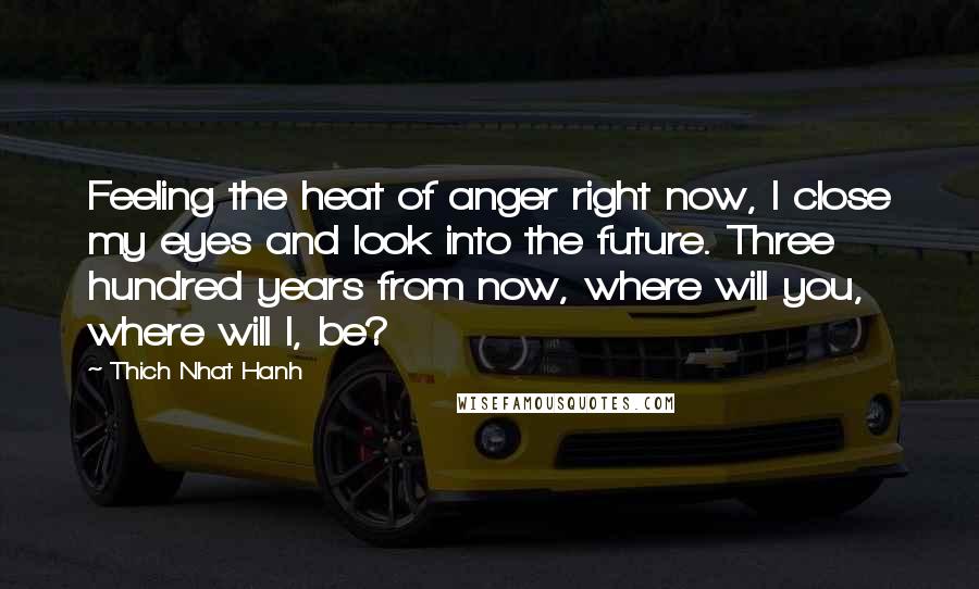 Thich Nhat Hanh Quotes: Feeling the heat of anger right now, I close my eyes and look into the future. Three hundred years from now, where will you, where will I, be?