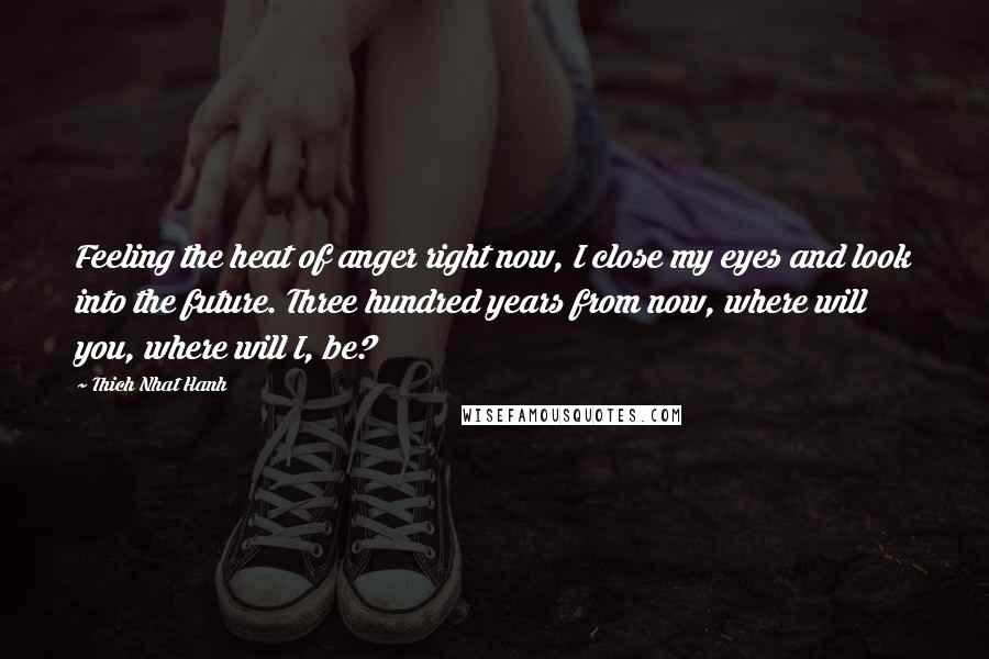 Thich Nhat Hanh Quotes: Feeling the heat of anger right now, I close my eyes and look into the future. Three hundred years from now, where will you, where will I, be?