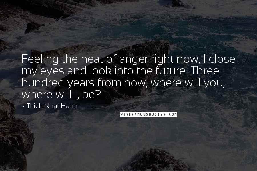 Thich Nhat Hanh Quotes: Feeling the heat of anger right now, I close my eyes and look into the future. Three hundred years from now, where will you, where will I, be?