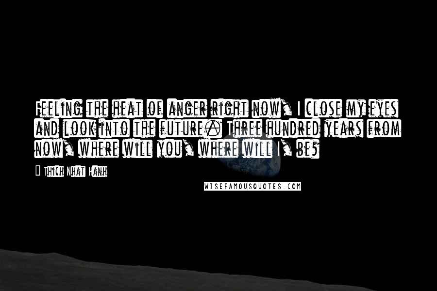 Thich Nhat Hanh Quotes: Feeling the heat of anger right now, I close my eyes and look into the future. Three hundred years from now, where will you, where will I, be?