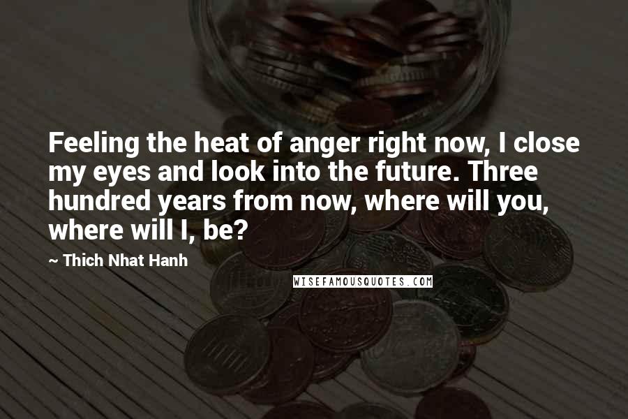 Thich Nhat Hanh Quotes: Feeling the heat of anger right now, I close my eyes and look into the future. Three hundred years from now, where will you, where will I, be?