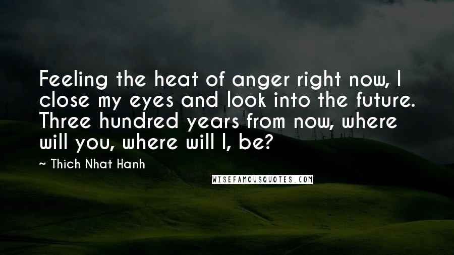 Thich Nhat Hanh Quotes: Feeling the heat of anger right now, I close my eyes and look into the future. Three hundred years from now, where will you, where will I, be?