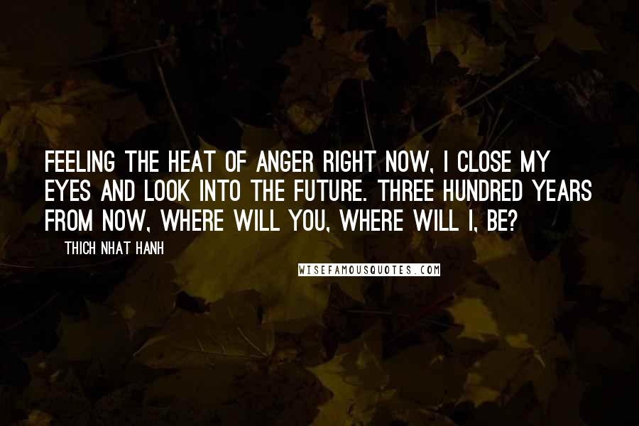 Thich Nhat Hanh Quotes: Feeling the heat of anger right now, I close my eyes and look into the future. Three hundred years from now, where will you, where will I, be?