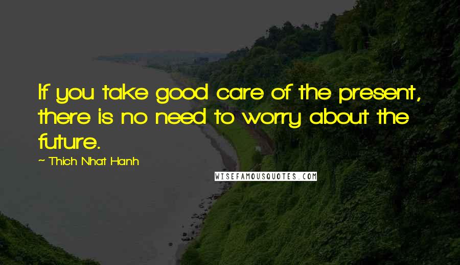 Thich Nhat Hanh Quotes: If you take good care of the present, there is no need to worry about the future.