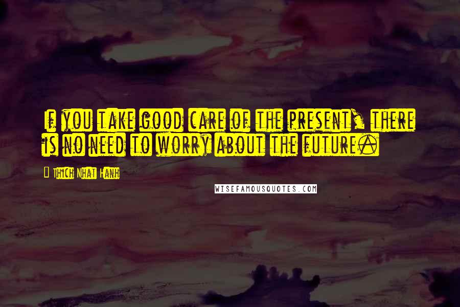 Thich Nhat Hanh Quotes: If you take good care of the present, there is no need to worry about the future.