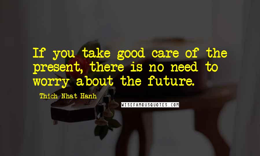 Thich Nhat Hanh Quotes: If you take good care of the present, there is no need to worry about the future.