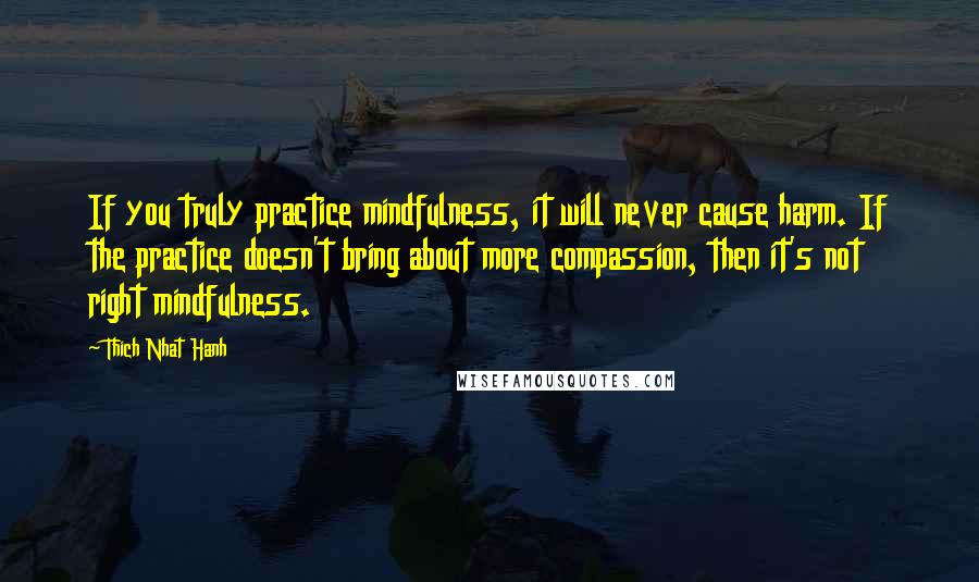 Thich Nhat Hanh Quotes: If you truly practice mindfulness, it will never cause harm. If the practice doesn't bring about more compassion, then it's not right mindfulness.