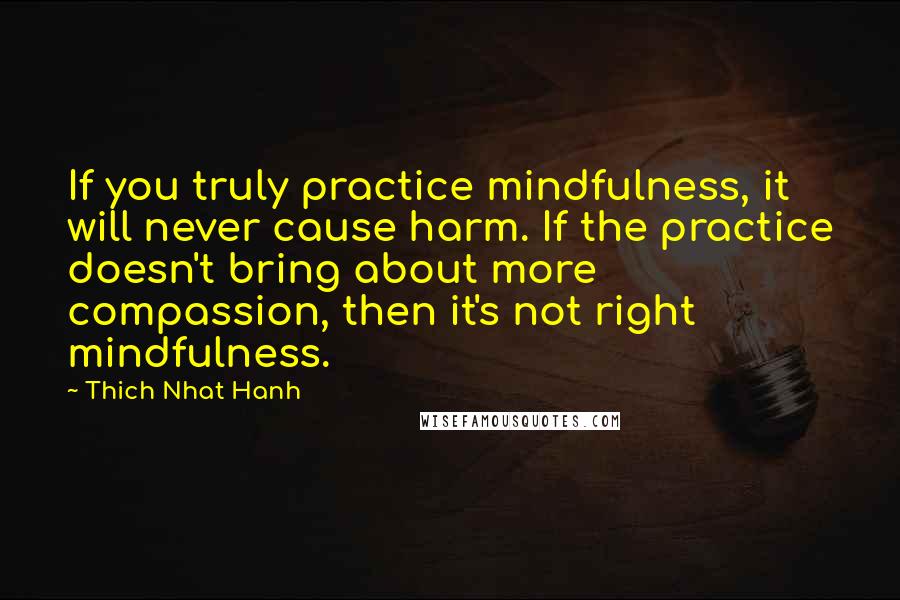 Thich Nhat Hanh Quotes: If you truly practice mindfulness, it will never cause harm. If the practice doesn't bring about more compassion, then it's not right mindfulness.