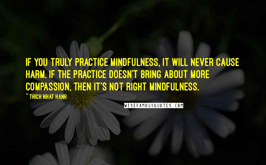 Thich Nhat Hanh Quotes: If you truly practice mindfulness, it will never cause harm. If the practice doesn't bring about more compassion, then it's not right mindfulness.