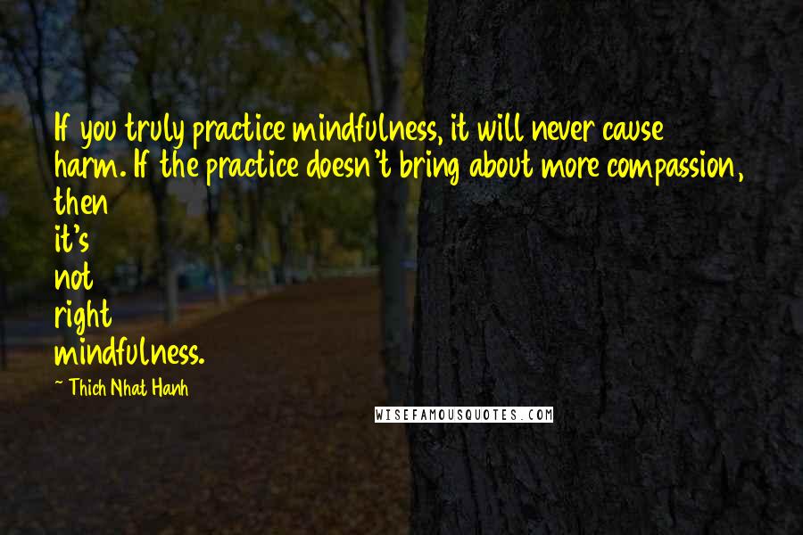 Thich Nhat Hanh Quotes: If you truly practice mindfulness, it will never cause harm. If the practice doesn't bring about more compassion, then it's not right mindfulness.