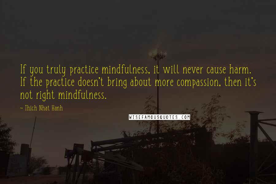 Thich Nhat Hanh Quotes: If you truly practice mindfulness, it will never cause harm. If the practice doesn't bring about more compassion, then it's not right mindfulness.