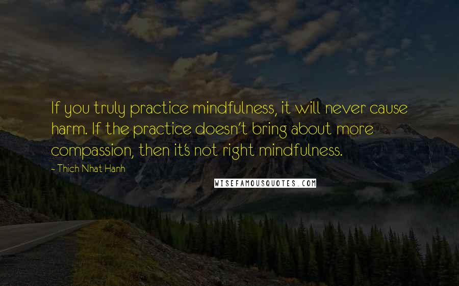 Thich Nhat Hanh Quotes: If you truly practice mindfulness, it will never cause harm. If the practice doesn't bring about more compassion, then it's not right mindfulness.