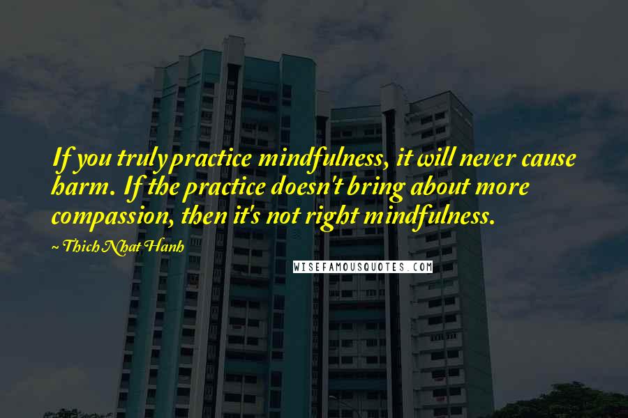 Thich Nhat Hanh Quotes: If you truly practice mindfulness, it will never cause harm. If the practice doesn't bring about more compassion, then it's not right mindfulness.