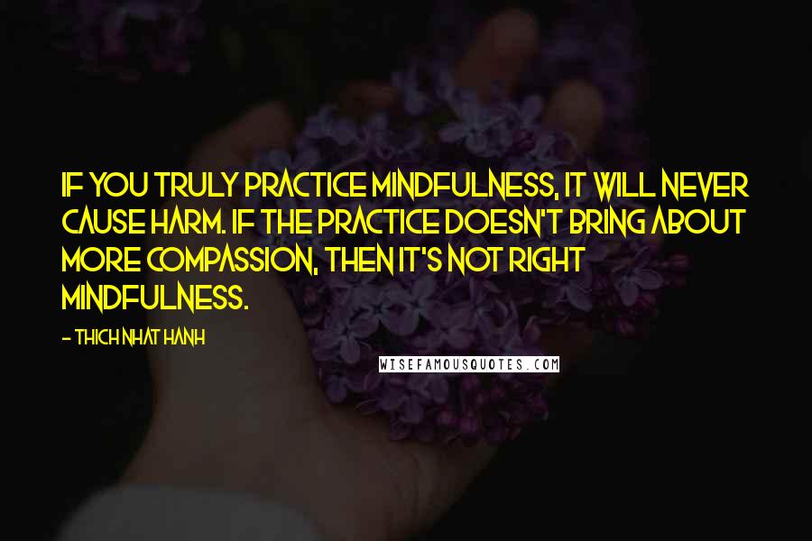 Thich Nhat Hanh Quotes: If you truly practice mindfulness, it will never cause harm. If the practice doesn't bring about more compassion, then it's not right mindfulness.