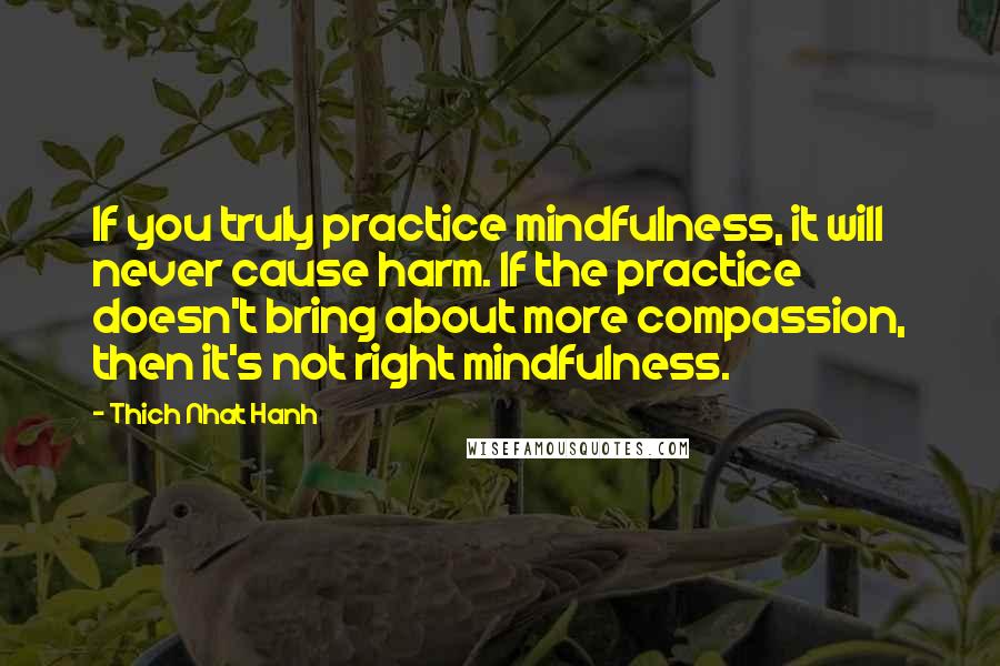 Thich Nhat Hanh Quotes: If you truly practice mindfulness, it will never cause harm. If the practice doesn't bring about more compassion, then it's not right mindfulness.