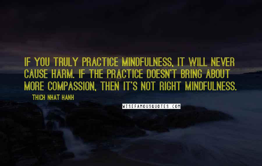 Thich Nhat Hanh Quotes: If you truly practice mindfulness, it will never cause harm. If the practice doesn't bring about more compassion, then it's not right mindfulness.