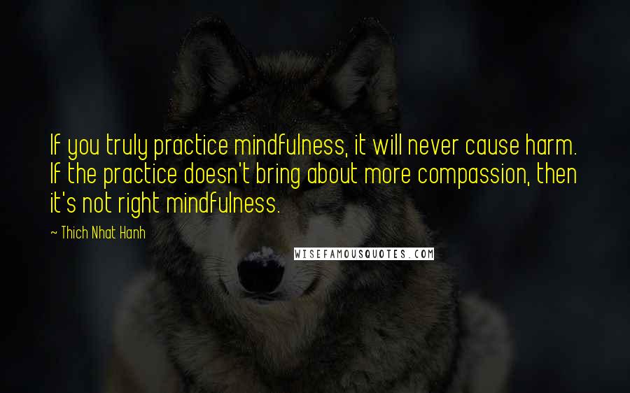 Thich Nhat Hanh Quotes: If you truly practice mindfulness, it will never cause harm. If the practice doesn't bring about more compassion, then it's not right mindfulness.