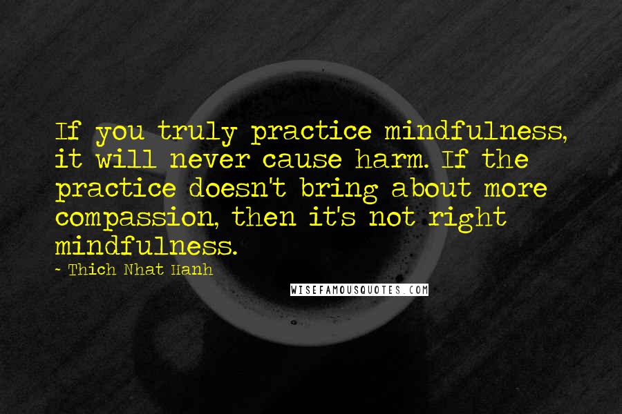 Thich Nhat Hanh Quotes: If you truly practice mindfulness, it will never cause harm. If the practice doesn't bring about more compassion, then it's not right mindfulness.