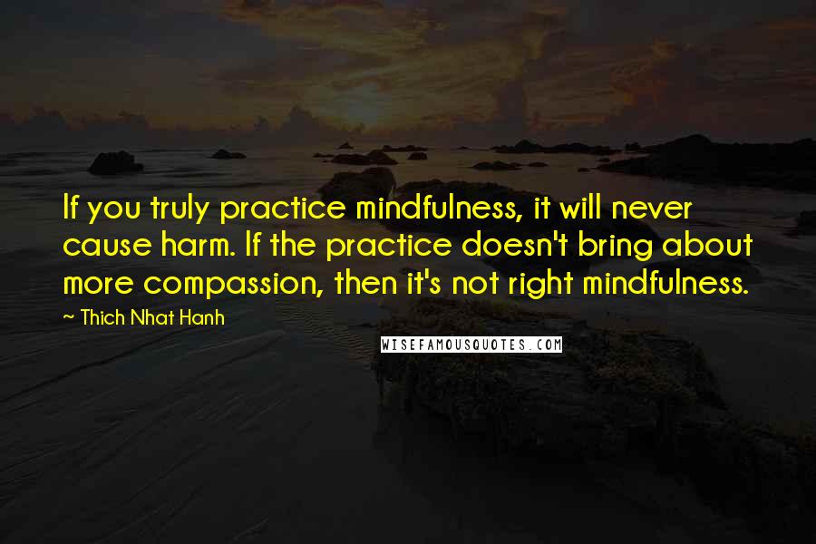 Thich Nhat Hanh Quotes: If you truly practice mindfulness, it will never cause harm. If the practice doesn't bring about more compassion, then it's not right mindfulness.