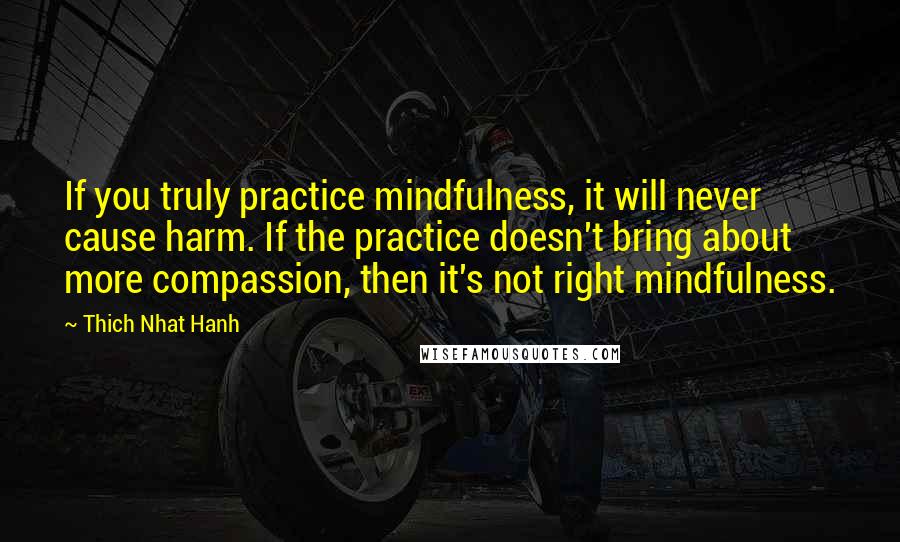 Thich Nhat Hanh Quotes: If you truly practice mindfulness, it will never cause harm. If the practice doesn't bring about more compassion, then it's not right mindfulness.