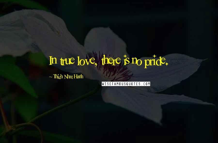 Thich Nhat Hanh Quotes: In true love, there is no pride.