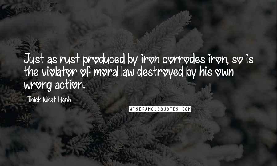 Thich Nhat Hanh Quotes: Just as rust produced by iron corrodes iron, so is the violator of moral law destroyed by his own wrong action.