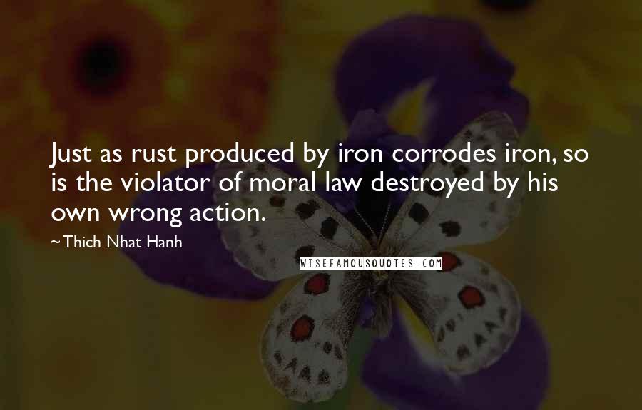 Thich Nhat Hanh Quotes: Just as rust produced by iron corrodes iron, so is the violator of moral law destroyed by his own wrong action.