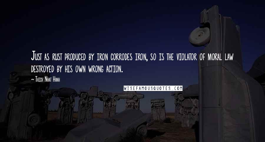 Thich Nhat Hanh Quotes: Just as rust produced by iron corrodes iron, so is the violator of moral law destroyed by his own wrong action.