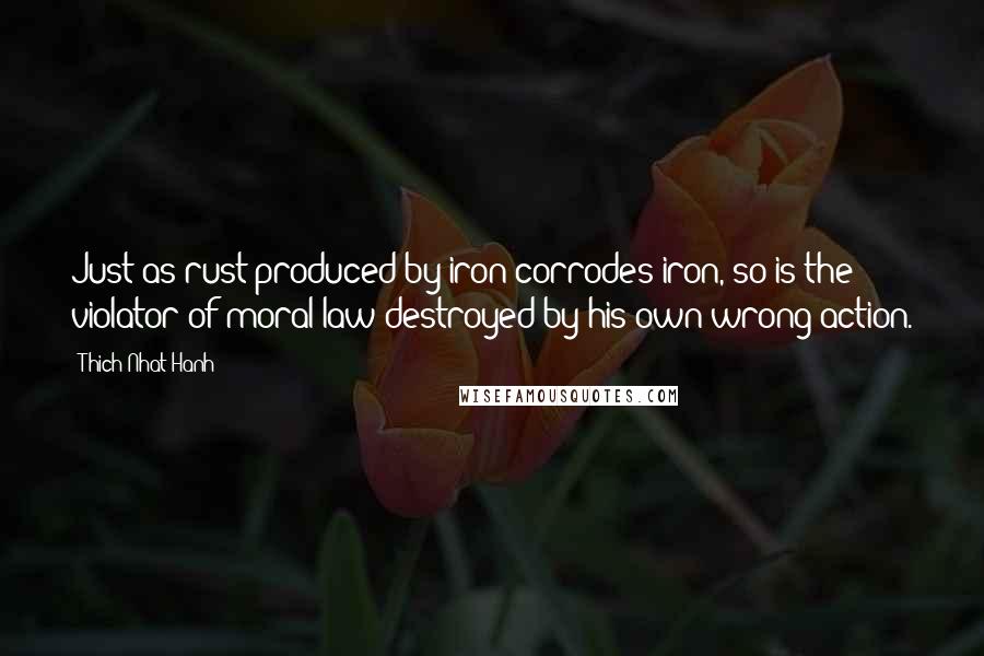 Thich Nhat Hanh Quotes: Just as rust produced by iron corrodes iron, so is the violator of moral law destroyed by his own wrong action.