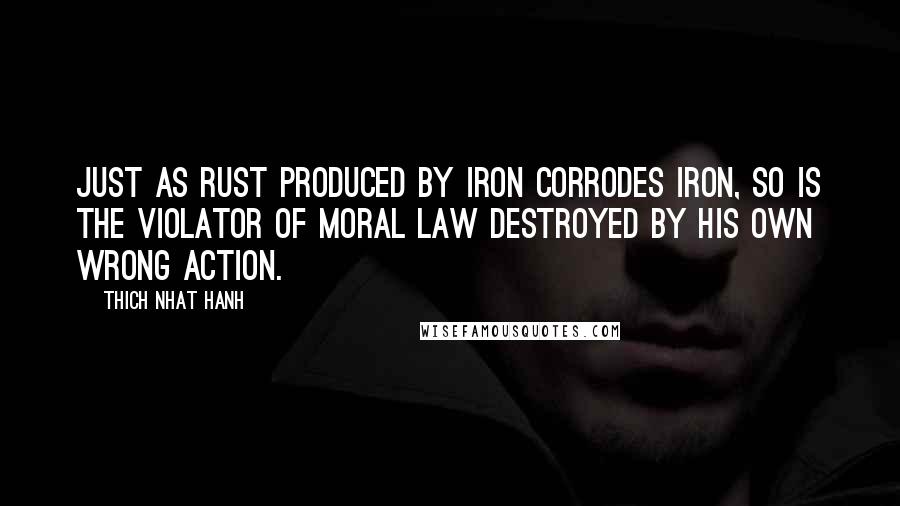 Thich Nhat Hanh Quotes: Just as rust produced by iron corrodes iron, so is the violator of moral law destroyed by his own wrong action.