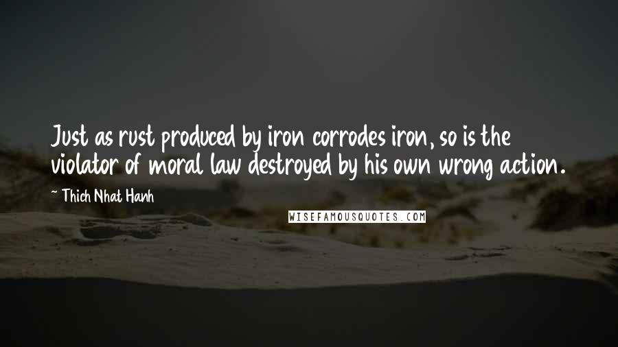 Thich Nhat Hanh Quotes: Just as rust produced by iron corrodes iron, so is the violator of moral law destroyed by his own wrong action.