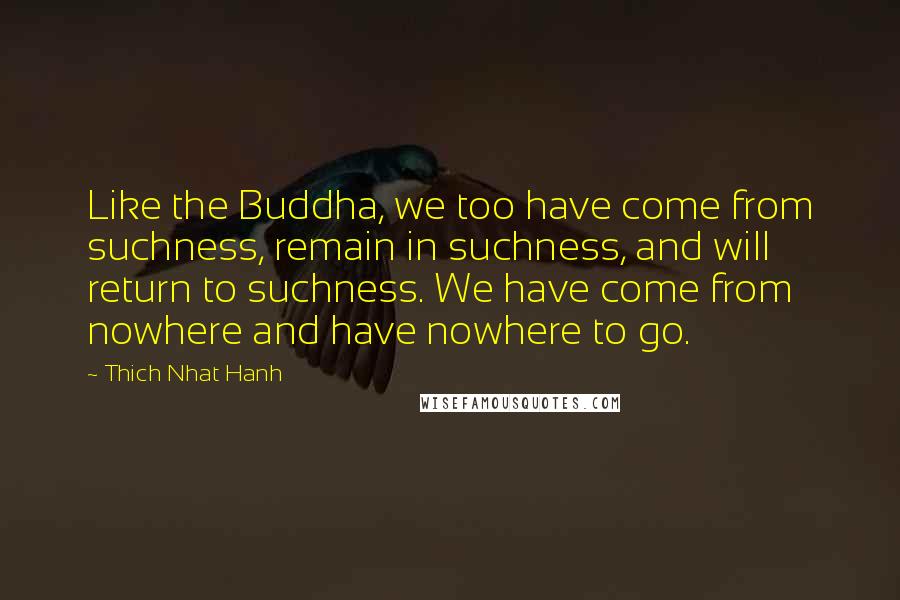 Thich Nhat Hanh Quotes: Like the Buddha, we too have come from suchness, remain in suchness, and will return to suchness. We have come from nowhere and have nowhere to go.