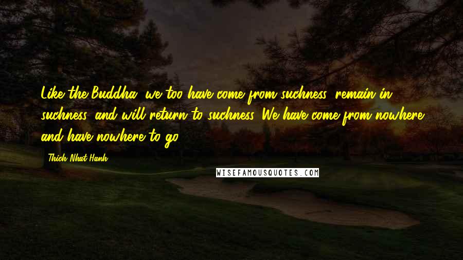 Thich Nhat Hanh Quotes: Like the Buddha, we too have come from suchness, remain in suchness, and will return to suchness. We have come from nowhere and have nowhere to go.