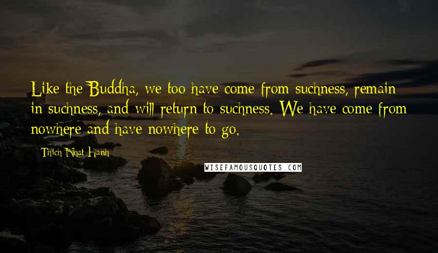 Thich Nhat Hanh Quotes: Like the Buddha, we too have come from suchness, remain in suchness, and will return to suchness. We have come from nowhere and have nowhere to go.