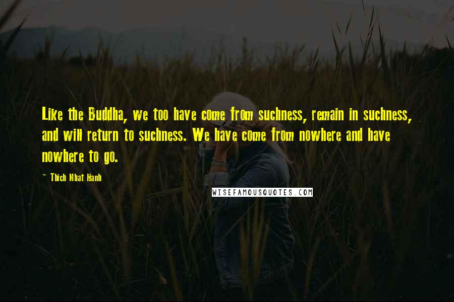 Thich Nhat Hanh Quotes: Like the Buddha, we too have come from suchness, remain in suchness, and will return to suchness. We have come from nowhere and have nowhere to go.