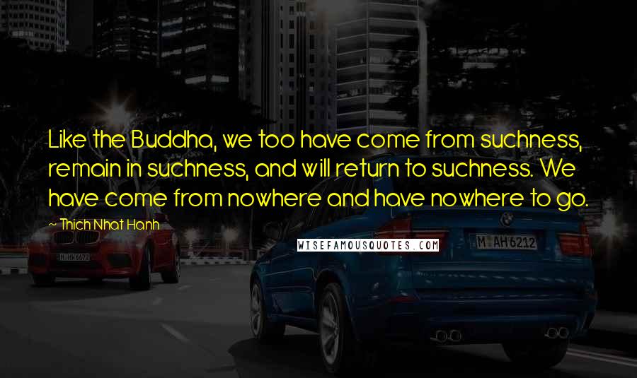 Thich Nhat Hanh Quotes: Like the Buddha, we too have come from suchness, remain in suchness, and will return to suchness. We have come from nowhere and have nowhere to go.
