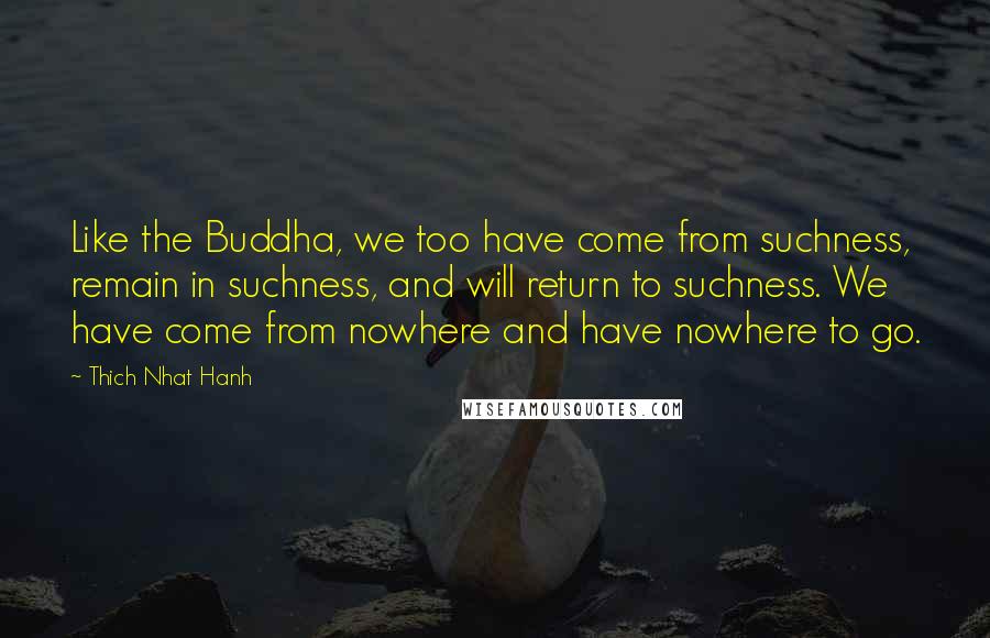 Thich Nhat Hanh Quotes: Like the Buddha, we too have come from suchness, remain in suchness, and will return to suchness. We have come from nowhere and have nowhere to go.