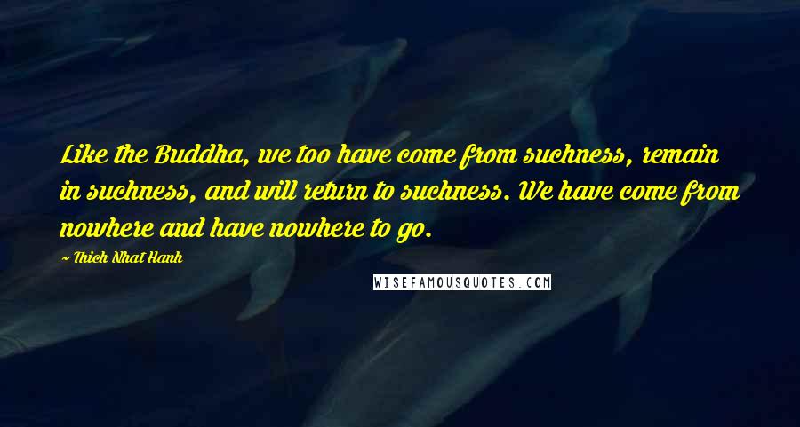 Thich Nhat Hanh Quotes: Like the Buddha, we too have come from suchness, remain in suchness, and will return to suchness. We have come from nowhere and have nowhere to go.